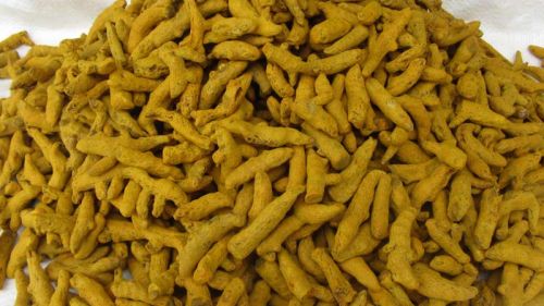 Organic Turmeric Finger, For Ayurvedic Products, Cooking, Packaging Size : 1kg, 25kg