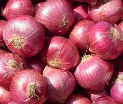 Organic Fresh Onion