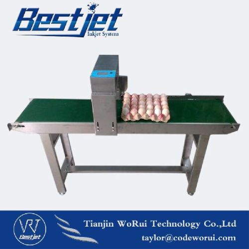 Eggs Expiry Date Code Barcode Printing Systems