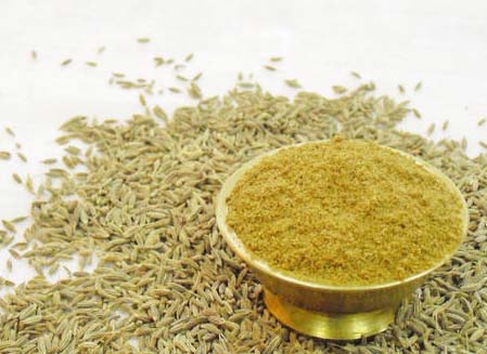 Cumin powder for Cooking