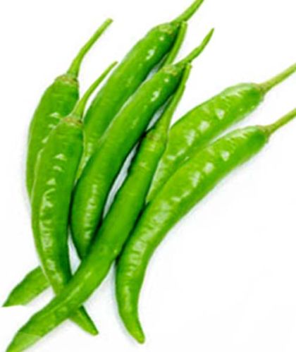 Fresh Green Chilli