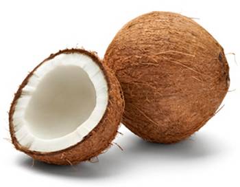 Common fresh coconut, Brand Name : MINHAS
