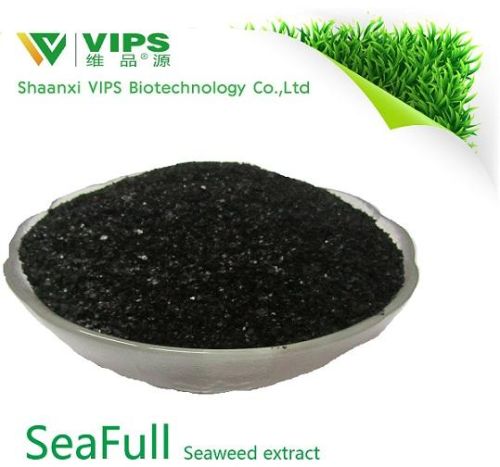 Seaweed Extract, Brand Name : VIPS