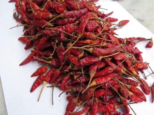 Sun Dried Then Oven Dried Bird Eye Red Chilli