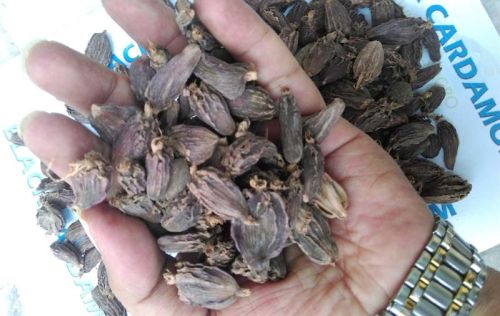 Black Cardamom