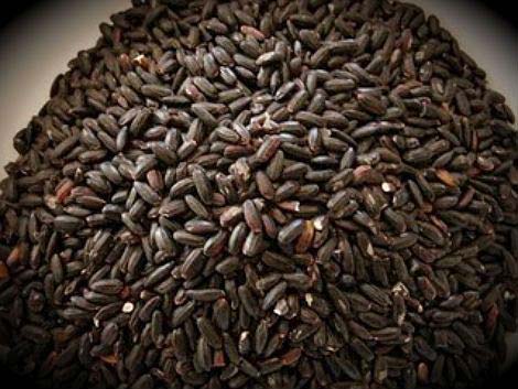 Black rice