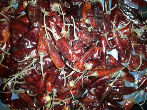 Dried Tepa Chili