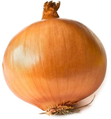 Yellow Onion