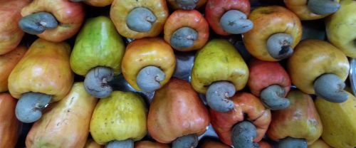 Cashew nuts for Snacking