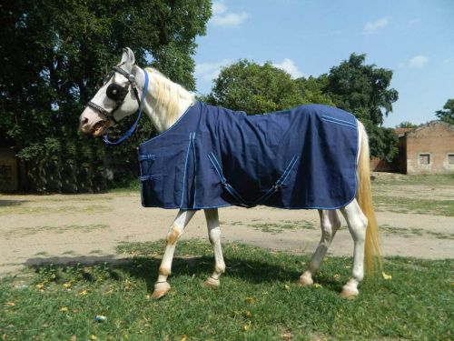 Canvas VE-R-003 Horse Rug