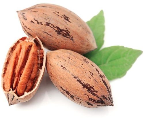 Shelled Pecan Nuts