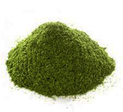 Dry Mint Powder, Packaging Type : Bulk