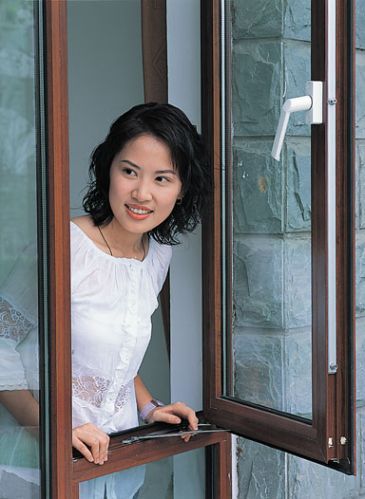 French Windows, Open Style : Side Hung