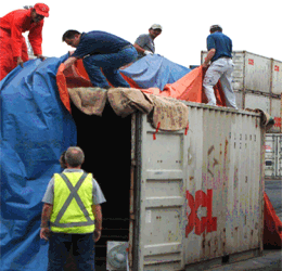 Ship Fumigation Services