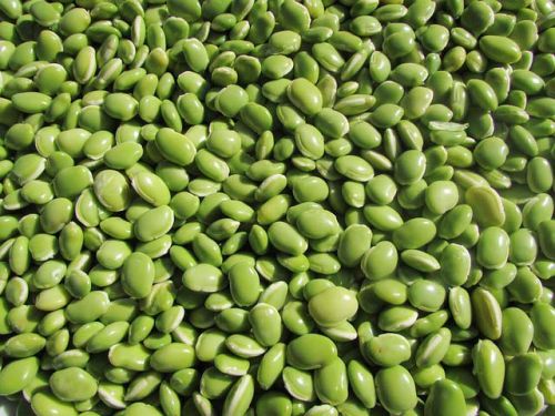 Lima Beans