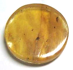 Pumpkin International Natural Amber Cabochons