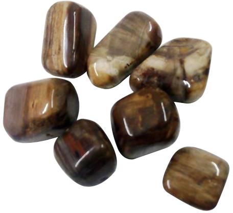 Natural Petrified Wood Gemstone Tumble/ Pebbles