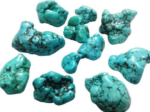 Pumpkin International Rough Turquoise Gemstones