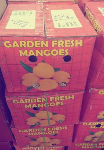 Fresh Mango,fresh Mango