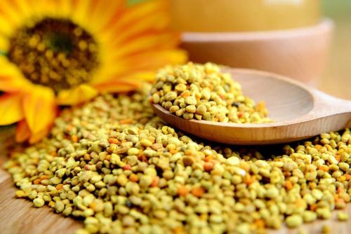 Bee Pollen, For Clinical, Personal, Purity : 95%