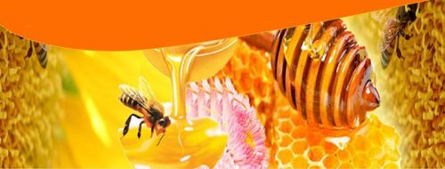 Processed Honey, For Clinical, Cosmetics, Personal, Feature : Hygienic Prepared, Longer Shelf Life