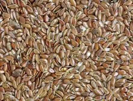 Natural Organic Flax Seed, Grade Standard : Food Grade