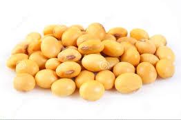 Common Organic Soybean Seeds, For Human Consumption, Style : Dried