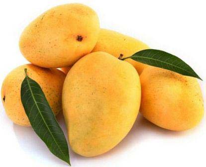 Fresh Mango,fresh Mango