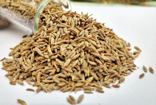 Cumin Seeds, For Cooking, Feature : Healthy, Improves Acidity Problem, Premium Quality