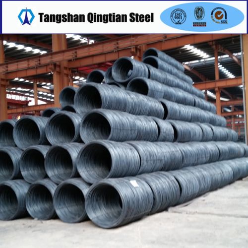 PRIME SAE1006/1008 Steel Wire Rod, Certification : ISO