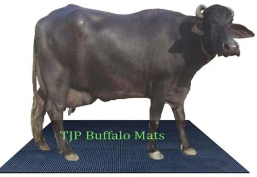 Rubber Buffalo Mats