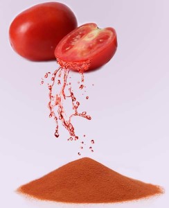 Dried Tomato Powder