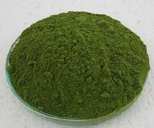 Moringa Leaves Powder