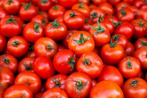 Organic Fresh Tomato, For Cooking, Skin Products