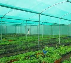 Plain HDPE Shade Nets, Length : 10-20mtr