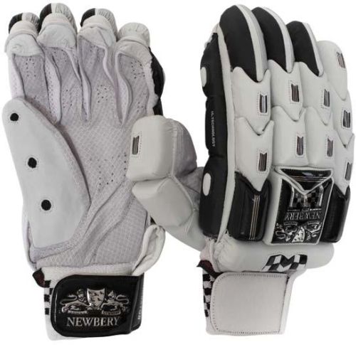 Cricket Batting Gloves