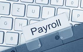 Payroll Software