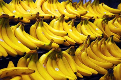 Fresh banana, Country of Origin : India