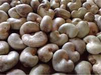 Cashew nuts, Packaging Type : bags