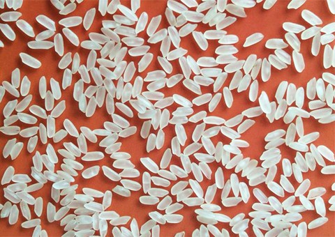 Printed Packaging Box, Brand Name : DOLLY, Packaging Type : WHITE