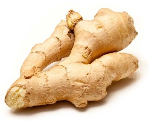 Organic Fresh Ginger, For Cooking, Packaging Type : Plastic Packet