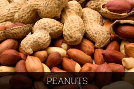 Shelled Peanuts, For Direct Consumption, Feature : Fine Taste, Good For Health, Long Shelf Life