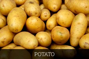 Organic Fresh Potato, Shelf Life : 6 Months