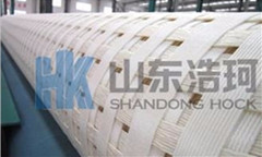 High Strength Polyester Geogrid(Mine Grid), Width : 5M -100M