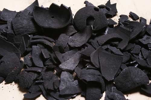 Coconut shell charcoal, Cultivation Type : Natural