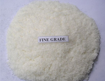 Desiccated coconut powder, Cultivation Type : Organic