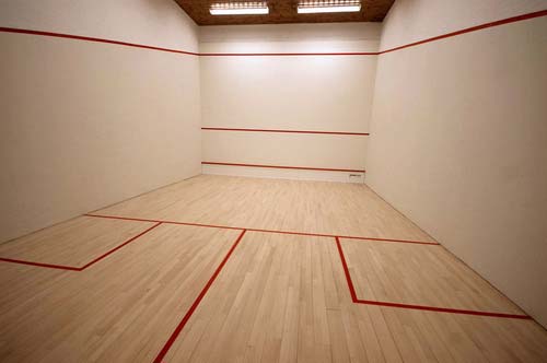 Polished Squash Wooden Floorings, For Interior Use, Feature : High Strength, Quality Tested, Termite Proof
