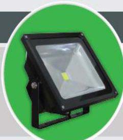 LED Flood Light