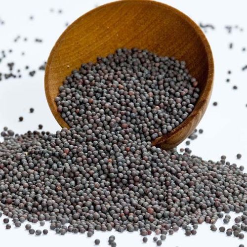 Black Mustard Seeds, Usage/Application : Cooking