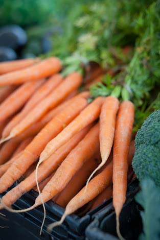 Fresh carrot, Storage Condition : Fresh